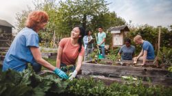 People in community garden. | Newsreel