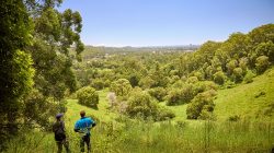 Two people looking over bushland Gold Coast. |Newsreel