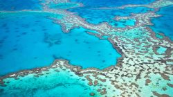 Great Barrier Reef. | Newsreel