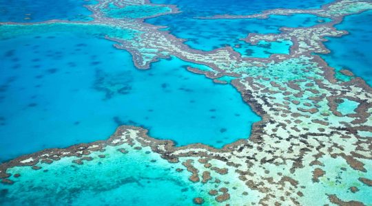 Great Barrier Reef. | Newsreel