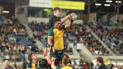 The-Oceania U20s i 2022 at Sunshine Coast Stadium