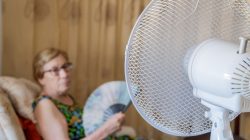 Elderly lady with electric fan. | Newsreel