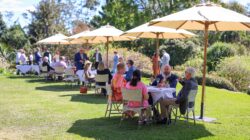 Diners in the outdoors. | Newsreel