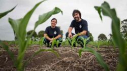 Researchers in grain field. | Newsreel