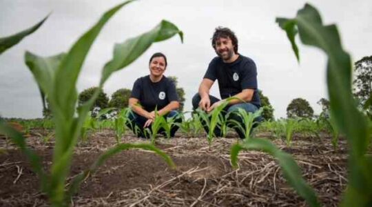 Researchers in grain field. | Newsreel