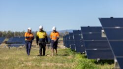 Thee technicians, two Aboriginal, walk in solar farm. | Newsreel