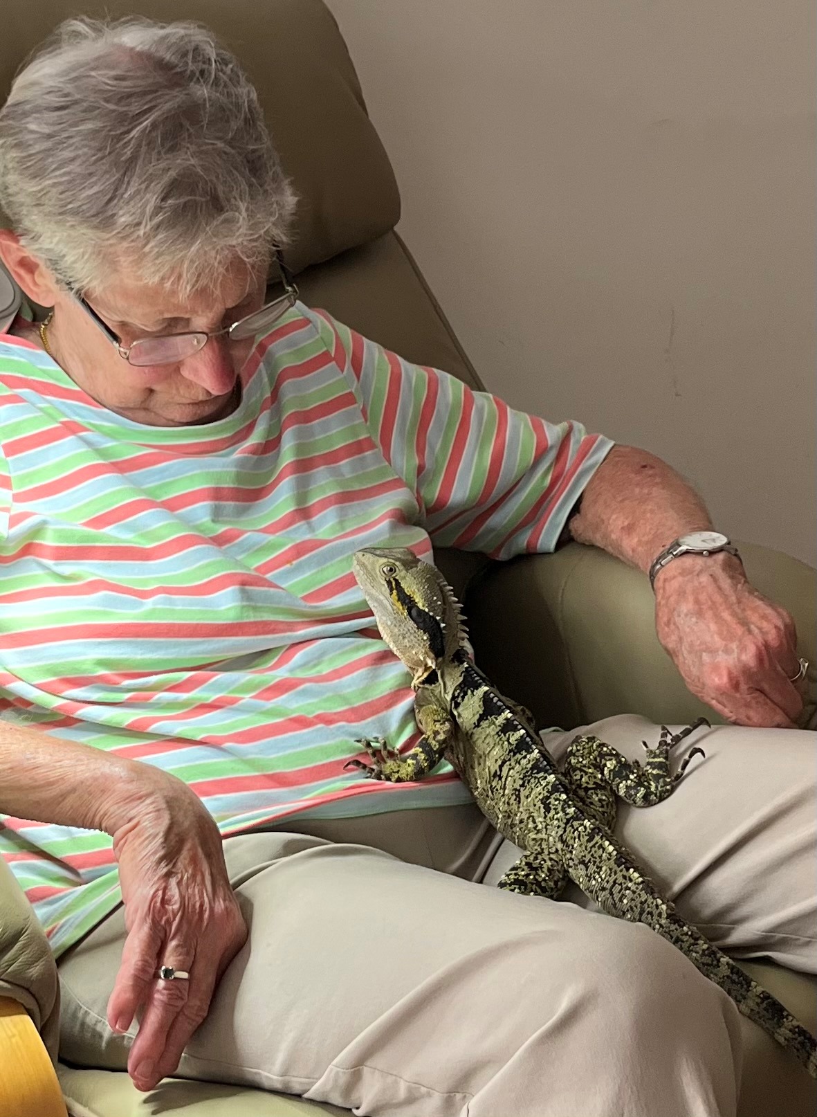 Woman sleeping with lizard on lap