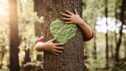 Arms hugging tree. | Newsreel