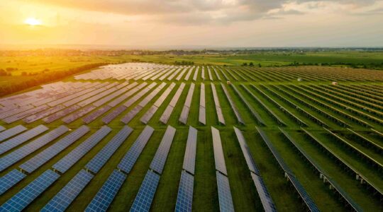 Solar farm. | Newsreel