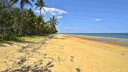 Trinity Beach Cairns. | Newsreel