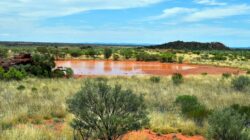 Water hole in Northern Territory. | Newsreel