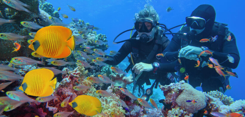 Divers on a reef. | Newsreel