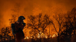 Rural firefighter battles bushfire. | Newsreel