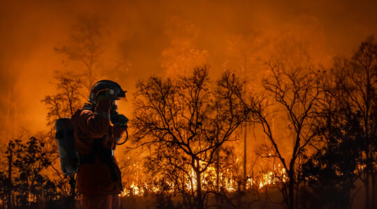 Rural firefighter battles bushfire. | Newsreel