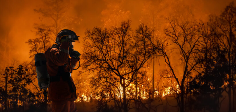 Rural firefighter battles bushfire. | Newsreel