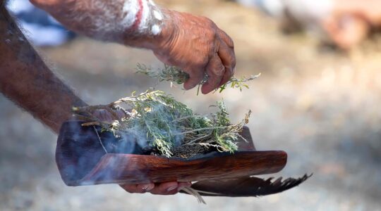 Aborigine with plant at smoking ceremony. | Newsreel