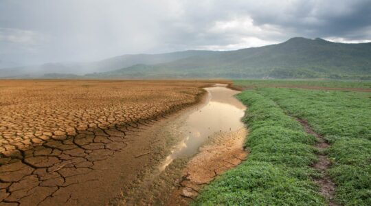 Field showing drought conditions and green pasture. | Newsreel