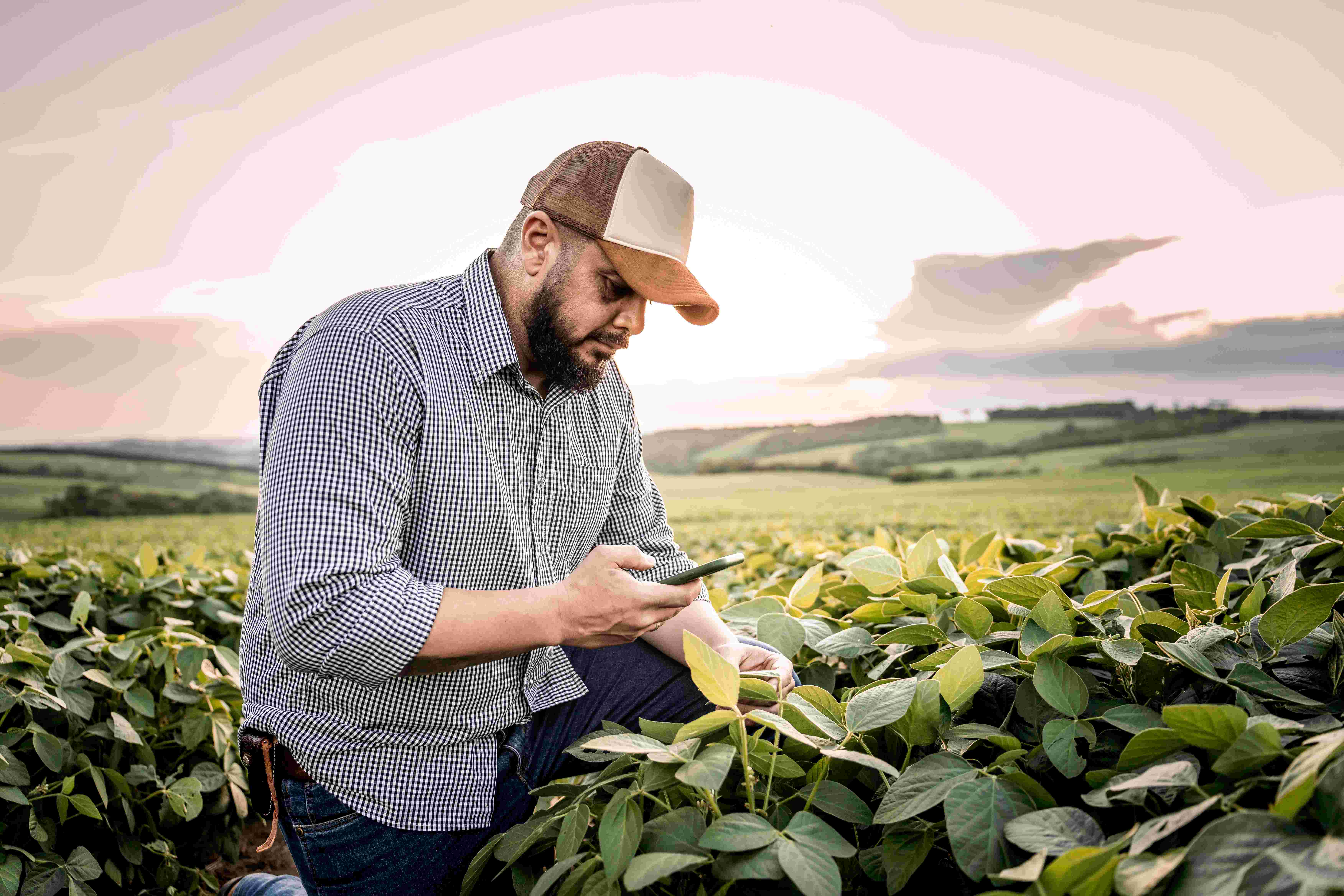 Farmer on phone in field. | Newsreel