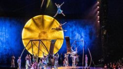 Cirque du Soleil's Luzia