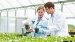 Man and woman studying plants in hothouse. | Newsreel