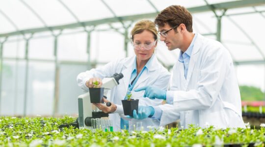 Man and woman studying plants in hothouse. | Newsreel