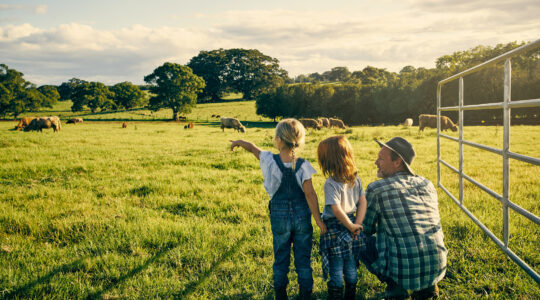 Beef week - farmers urged to trumpet sustainability credentials - Newsreel