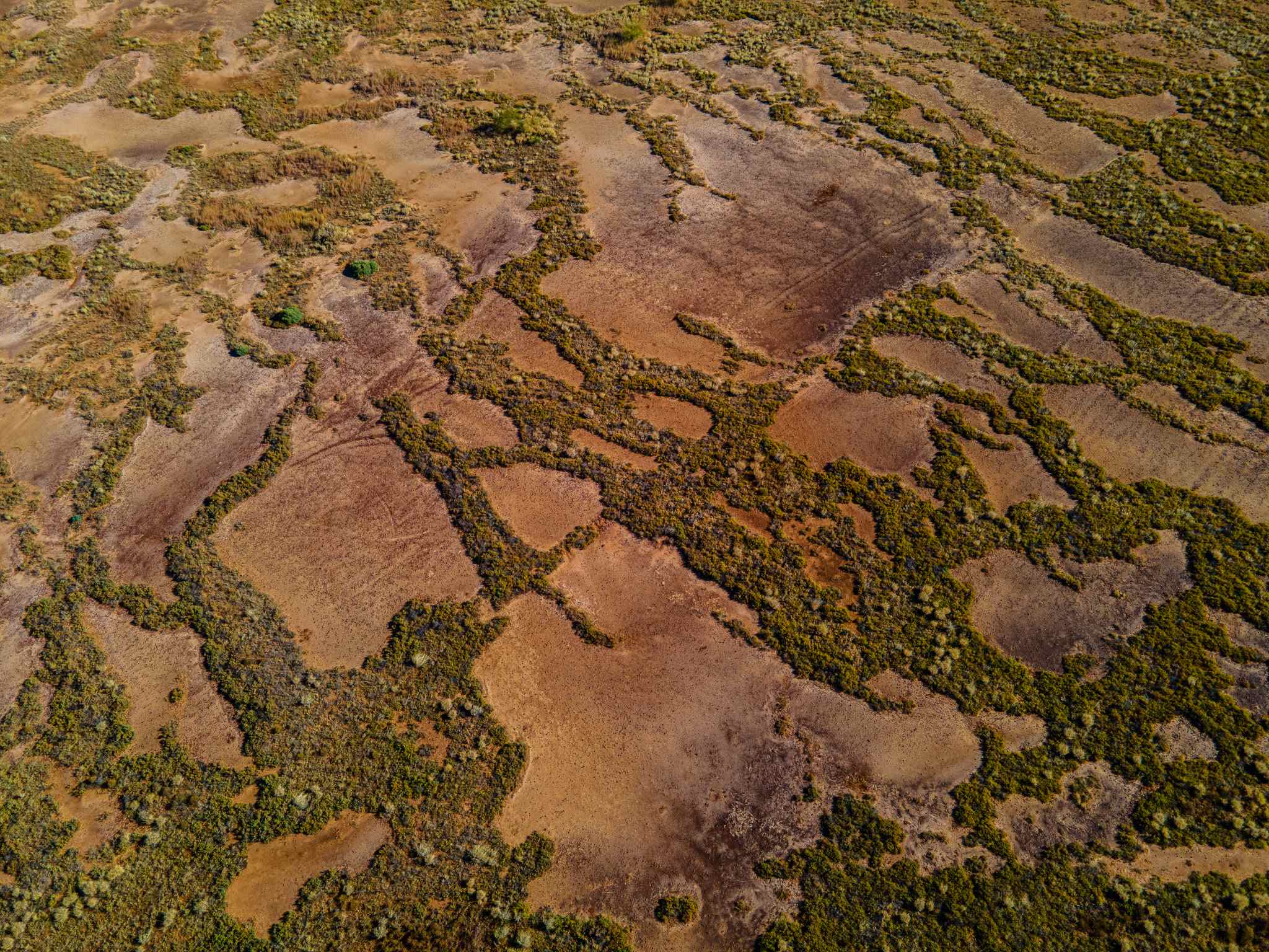 Aerial shot of Edgbaston springs. | Newsreel