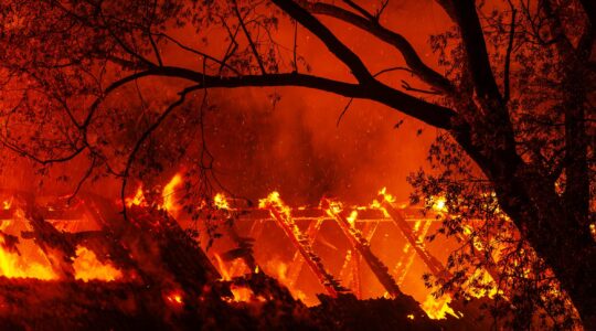 Home burning in bushfire. | Newsreel