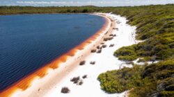 Wuthathi Country Tannin Stained Perched Lake Cape York Queensland. | Newseel