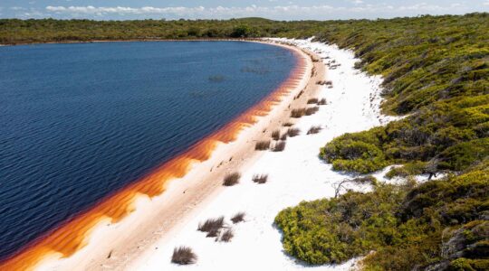 Wuthathi Country Tannin Stained Perched Lake Cape York Queensland. | Newseel