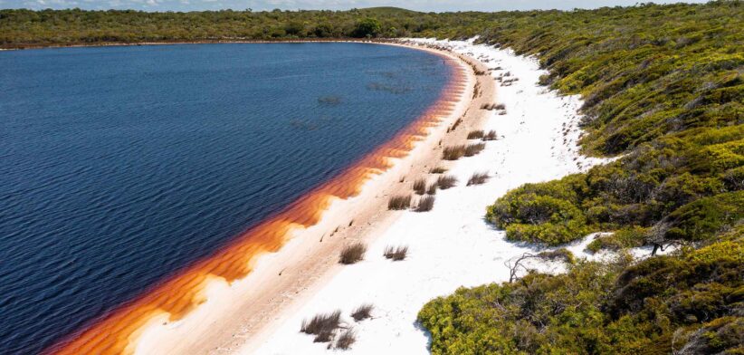 Wuthathi Country Tannin Stained Perched Lake Cape York Queensland. | Newseel