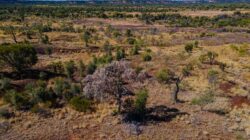 Drone shot of Edgbaston Reserve. | Newsreel