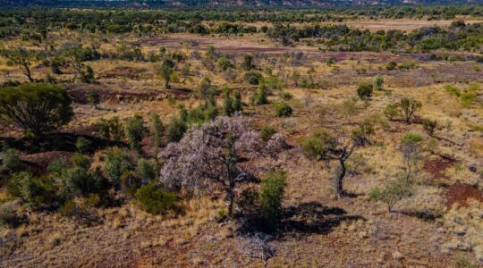 Drone shot of Edgbaston Reserve. | Newsreel