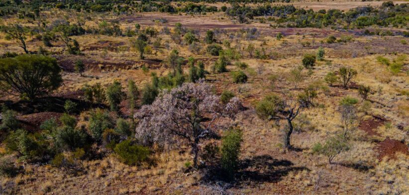 Drone shot of Edgbaston Reserve. | Newsreel