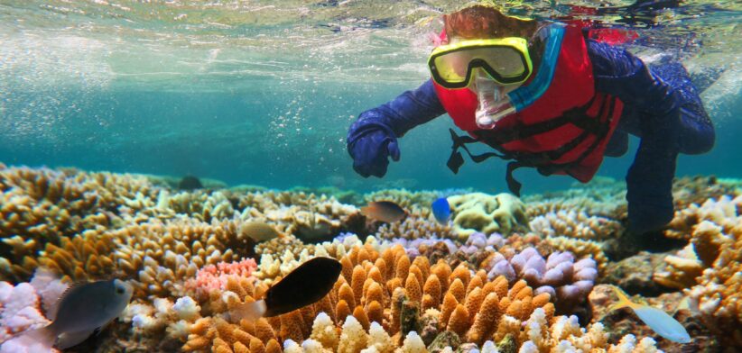 Snorkeling on the Great Barrier Reef. | Newsreel