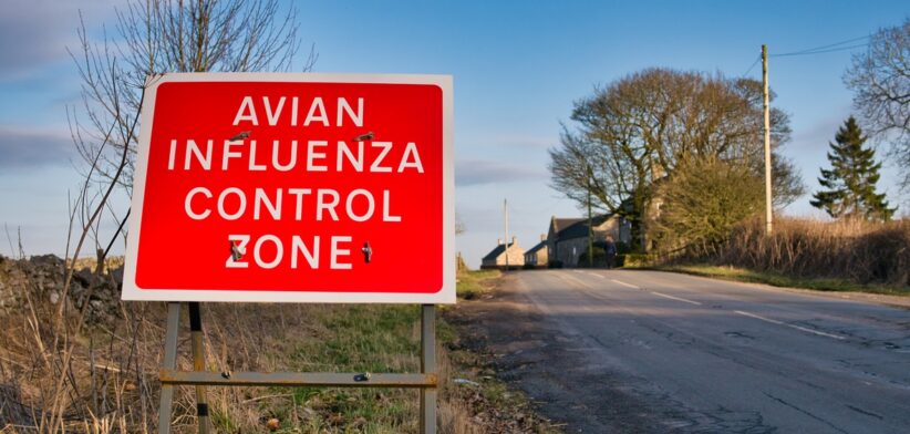 Avian influenza sign. | Newsreel