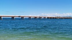 Bribie Island bridge. | Newsreel