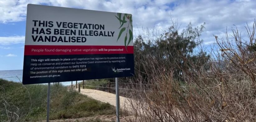 Warning sign at Buddina on the Sunshine Coast.