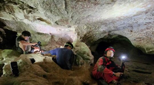 World's oldest known cave art discovered in Indonesia - Newsreel
