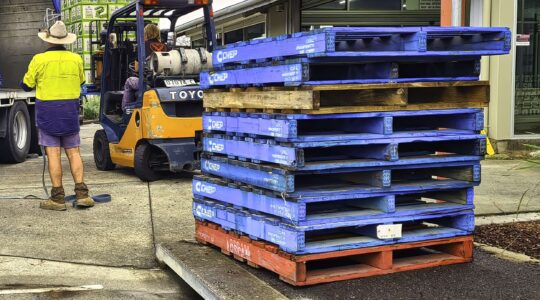 Chep pallets. | Newsreel