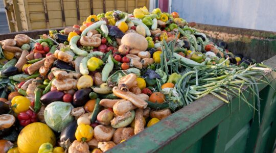 Food waste takes billions off the table