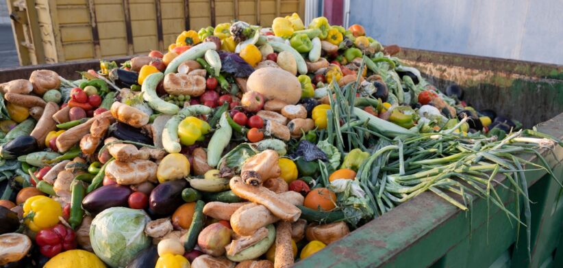 Fruit and vegetables in garbage container. | Newsreel