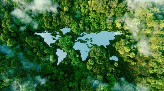 Map of world in rainforest. | Newsreel