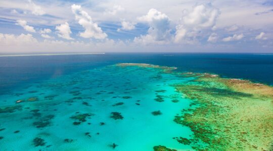 Great Barrier Reef dodges ‘in danger’ status