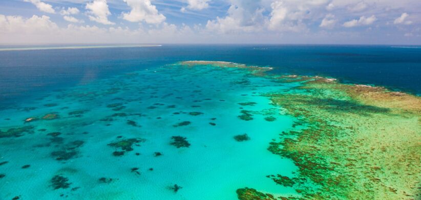 Great Barrier Reef. | Newsreel