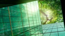 Green building and trees. | Newsreel