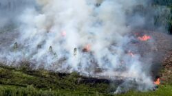 Wildfires in Canada 2023. | Newsreel