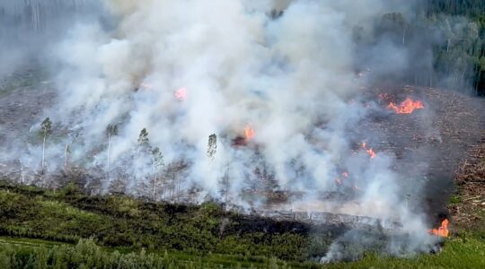 Wildfires in Canada 2023. | Newsreel