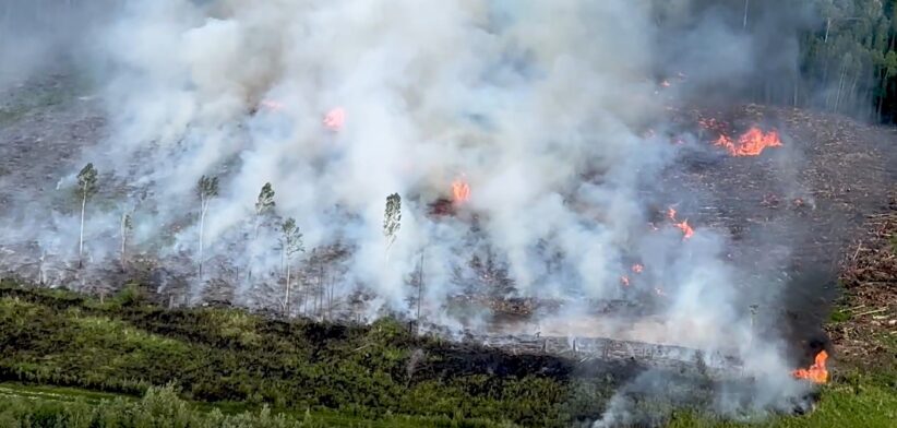 Wildfires in Canada 2023. | Newsreel