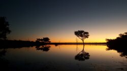 The Lakes National Park. | Newsreel